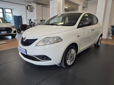 Lancia Ypsilon 1.2 69 CV 5 porte GPL Gold Plus del 2016 usata a Rimini