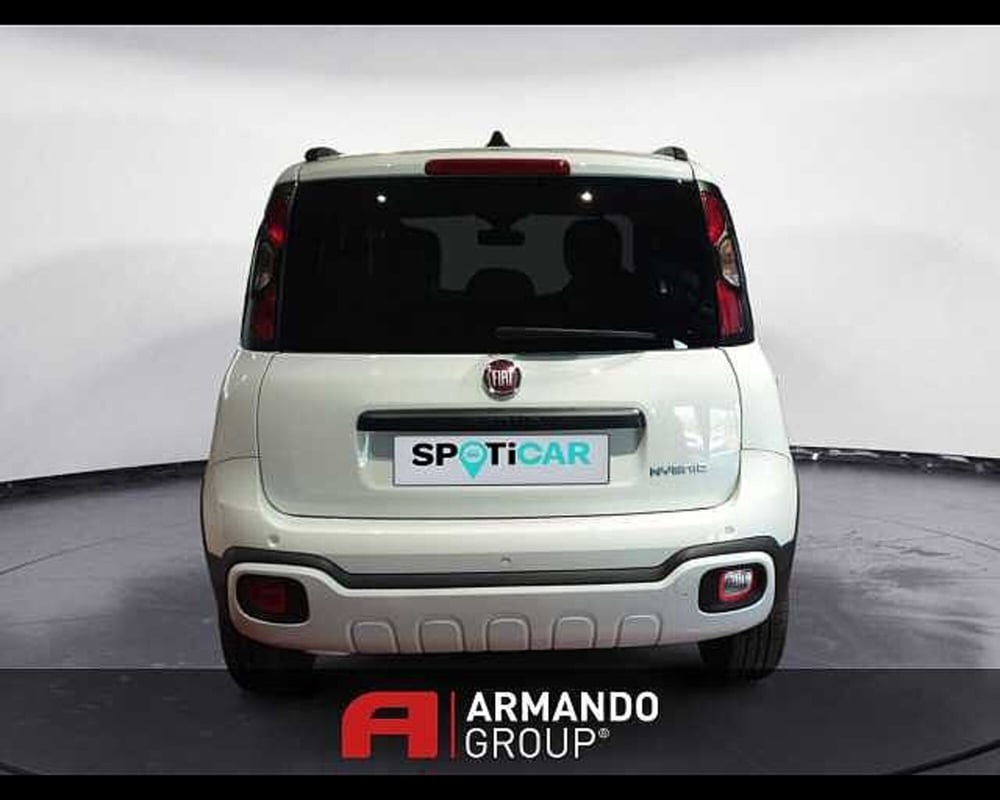 Fiat Panda Cross usata a Cuneo (6)
