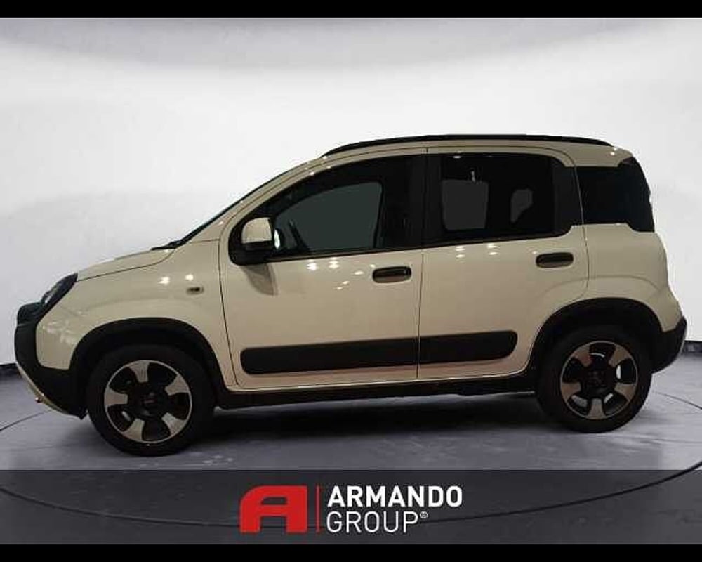 Fiat Panda Cross usata a Cuneo (8)