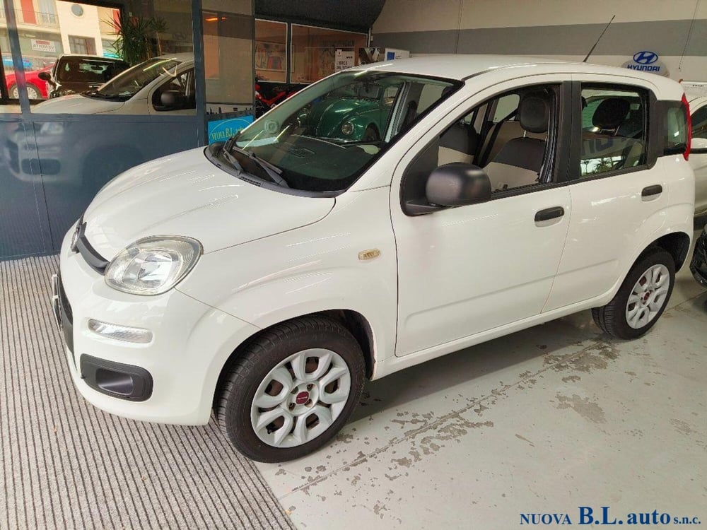 Fiat Panda usata a Verona (2)