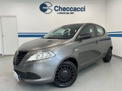 Lancia Ypsilon 1.2 69 CV 5 porte Elefantino del 2015 usata a Prato
