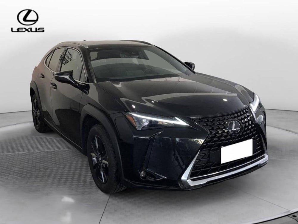 Lexus UX usata a Torino (3)
