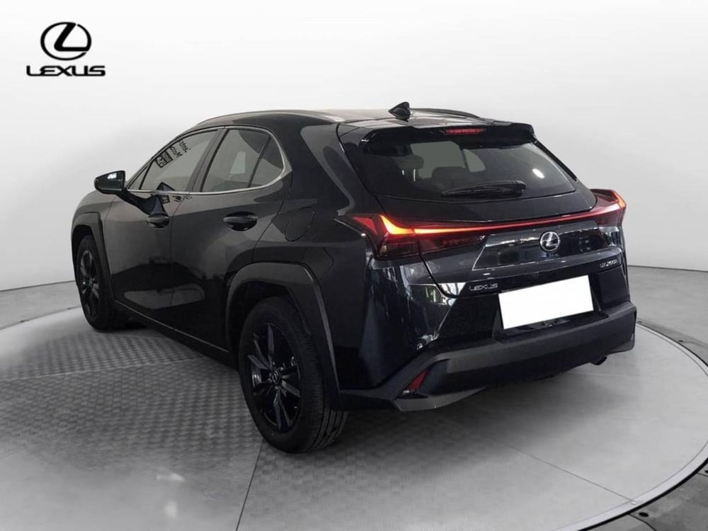 Lexus UX usata a Torino (6)