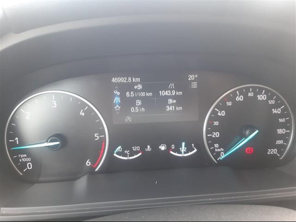 Ford EcoSport usata a Cremona (10)
