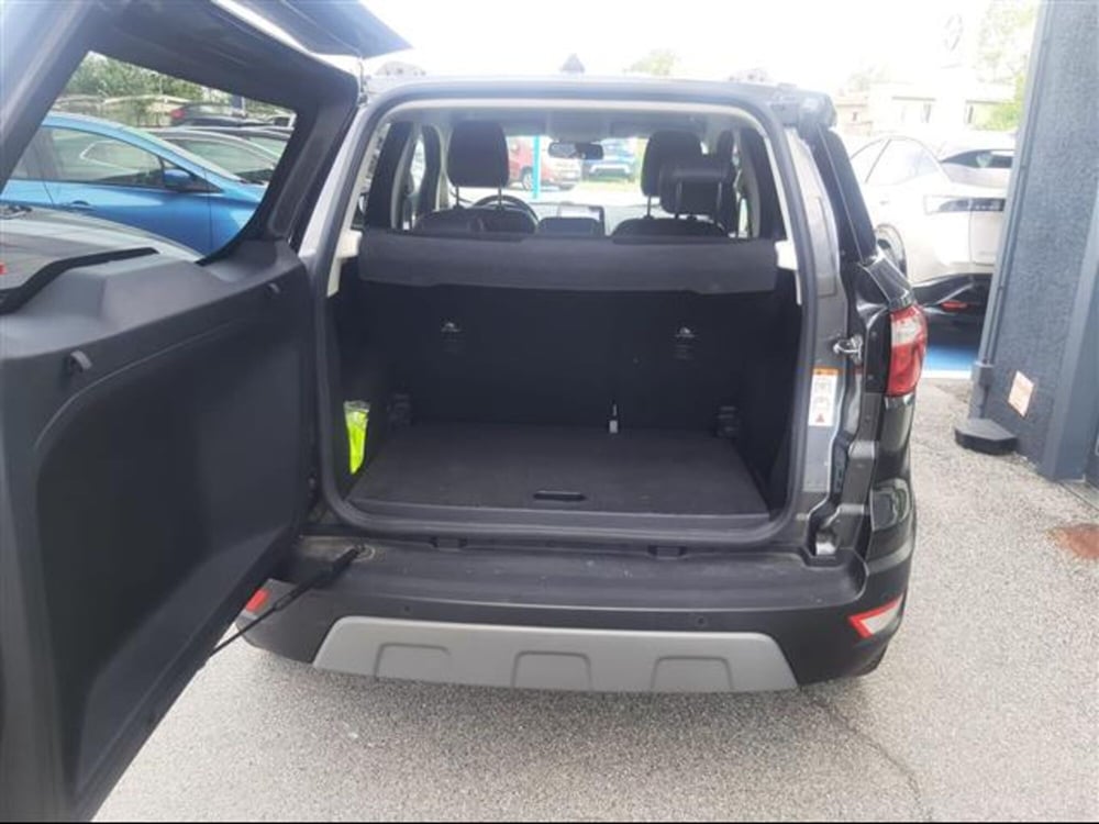 Ford EcoSport usata a Cremona (9)
