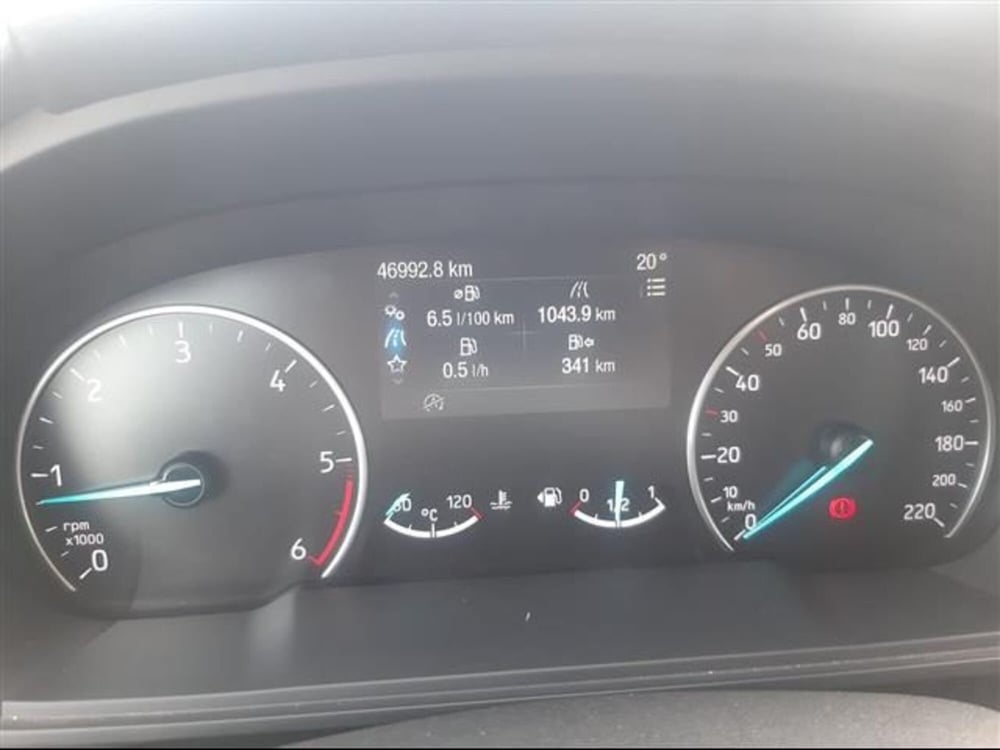 Ford EcoSport usata a Cremona (10)