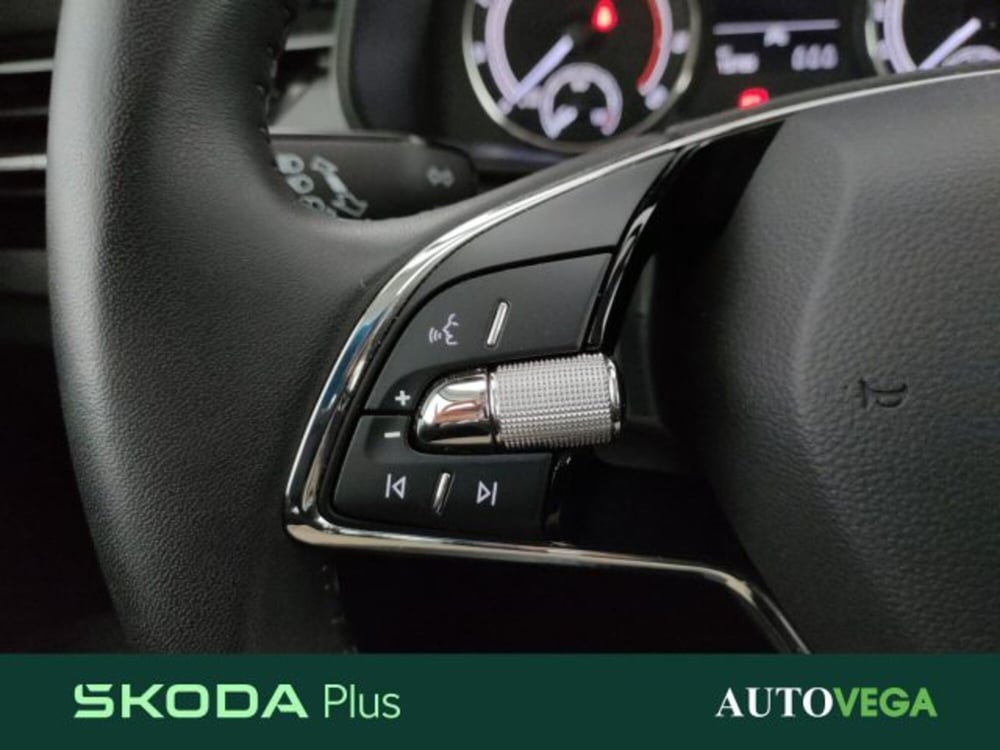 Skoda Kamiq usata a Vicenza (12)