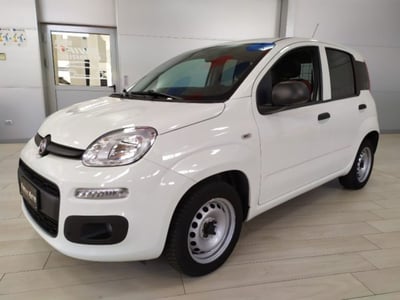 Fiat Panda 1.2 Pop Van 2 posti del 2019 usata a Muggia