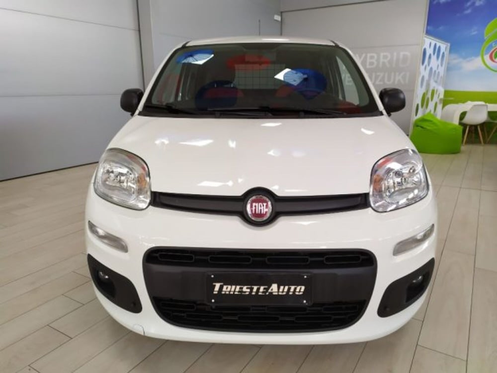 Fiat Panda usata a Trieste (2)
