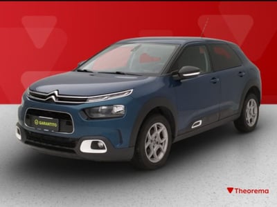 Citroen C4 Cactus PureTech 110 S&amp;S Shine del 2020 usata a Torino