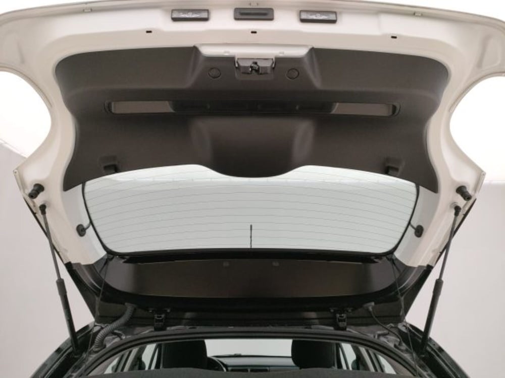 Citroen C3 usata a Torino (19)