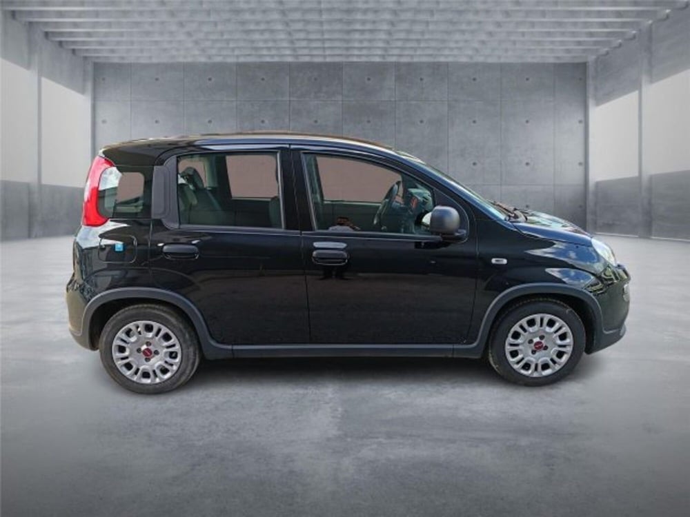 Fiat Panda usata a Bari (7)