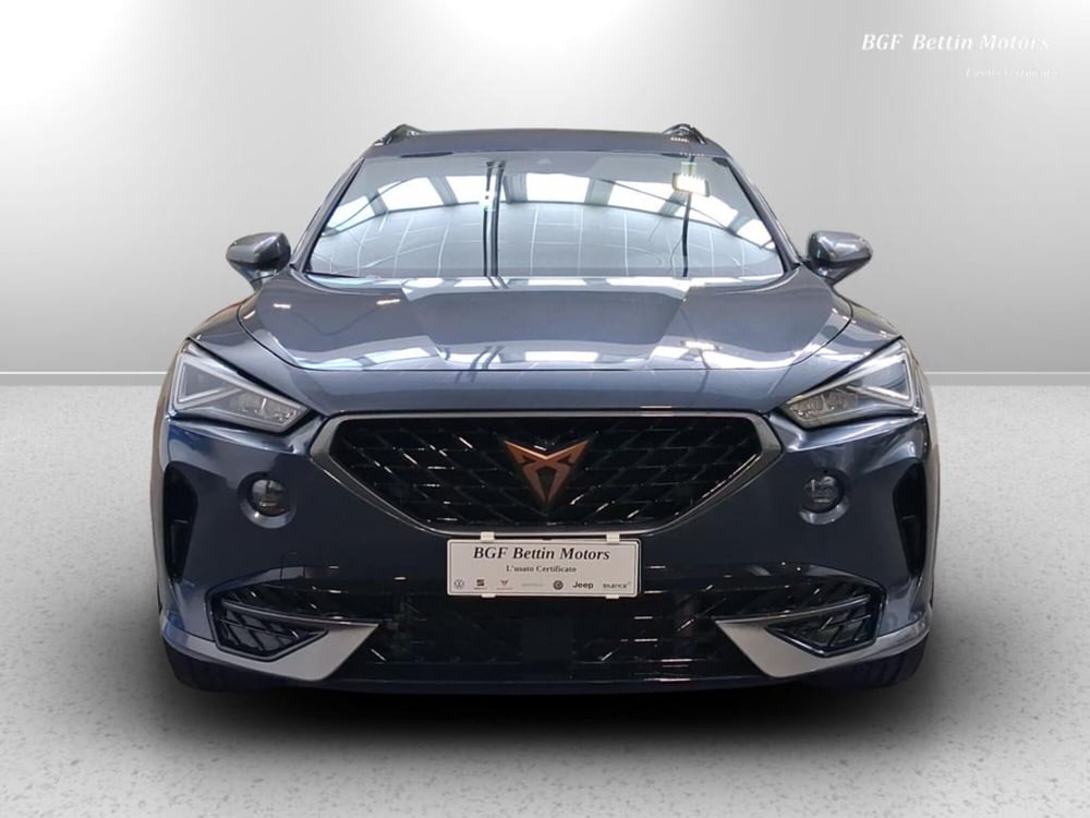 Cupra Formentor usata a Padova (7)