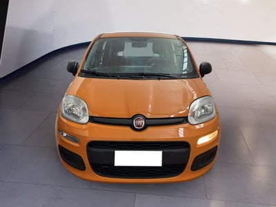 Fiat Panda 1.2 Easy del 2020 usata a Torino