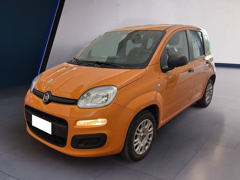 Fiat Panda usata a Torino (2)