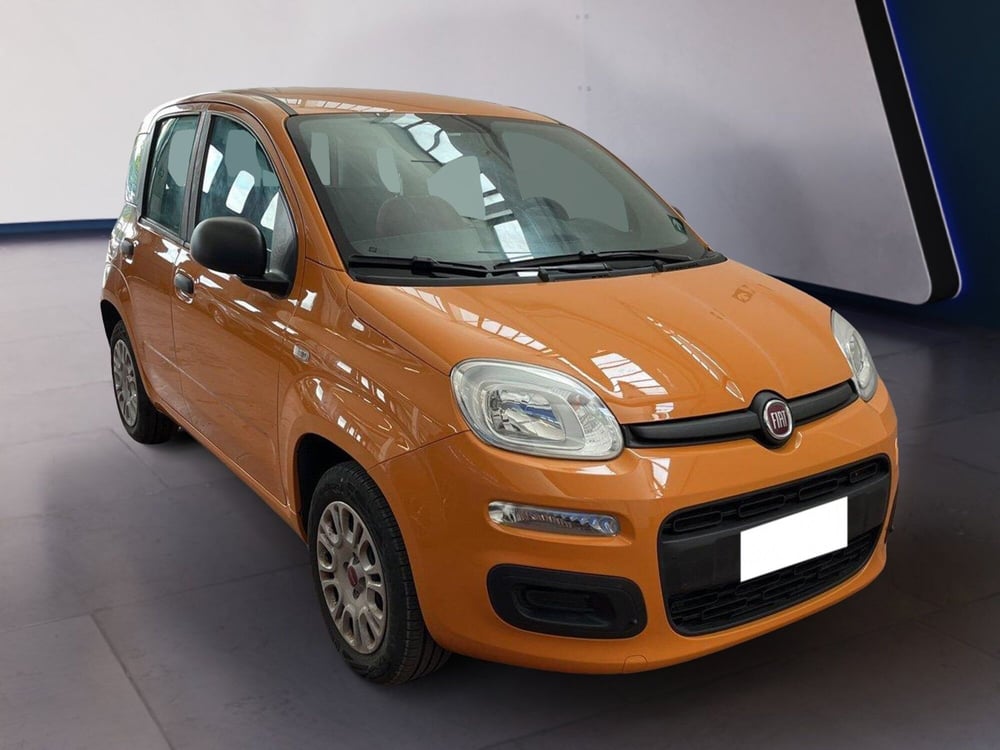 Fiat Panda usata a Torino (3)