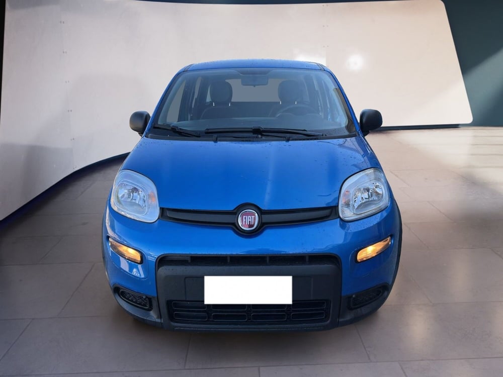 Fiat Panda usata a Torino
