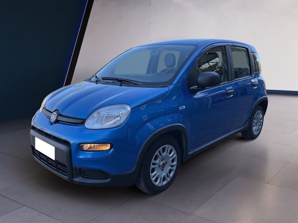 Fiat Panda usata a Torino (2)