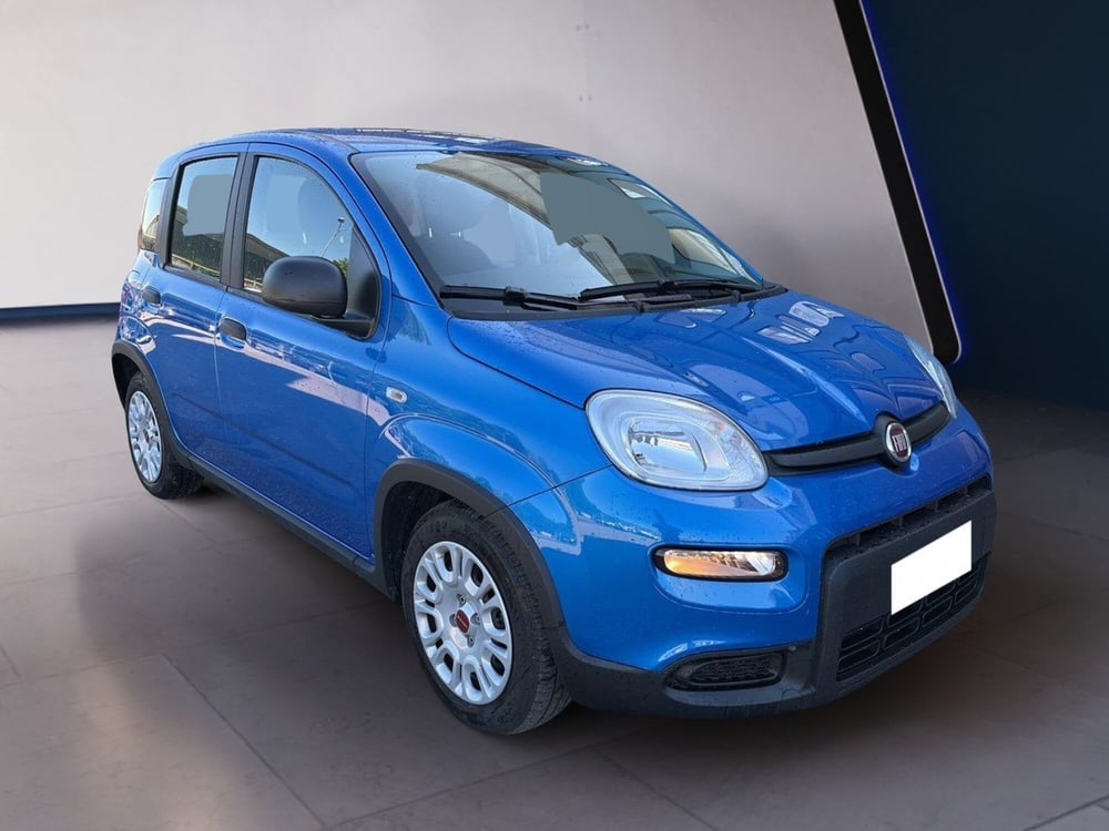 Fiat Panda usata a Torino (3)