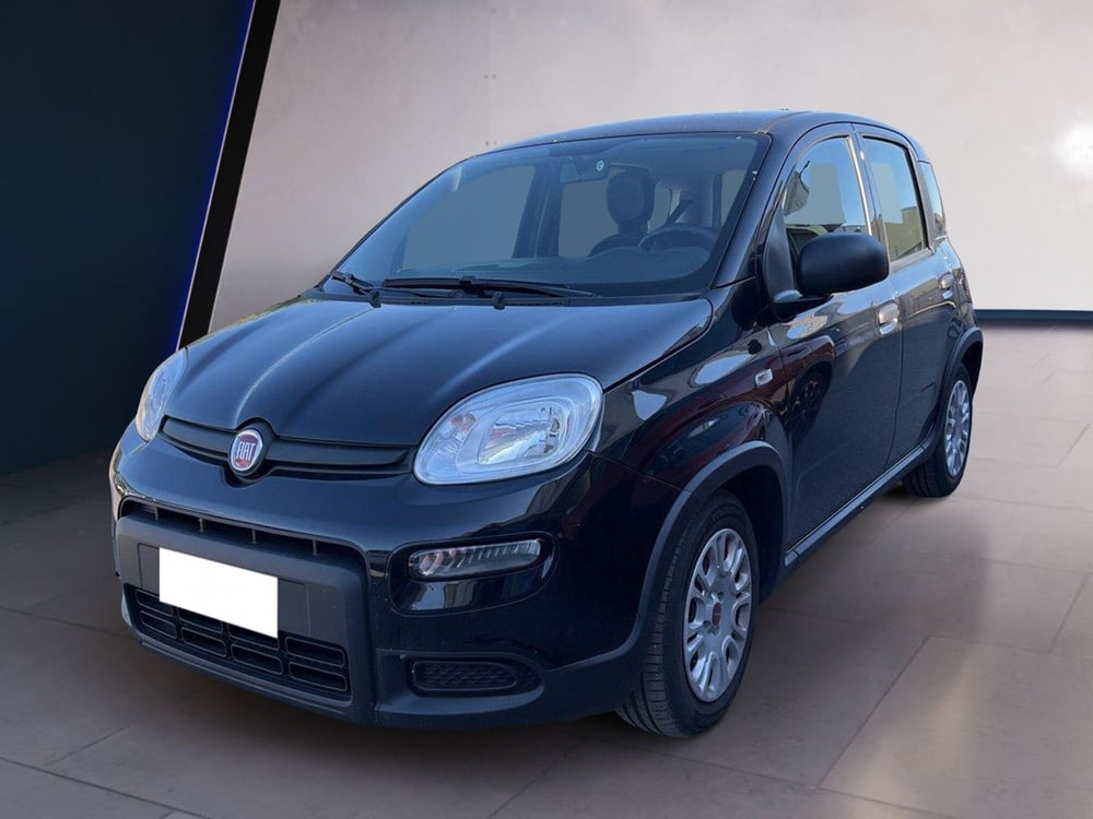 Fiat Panda nuova a Torino (2)