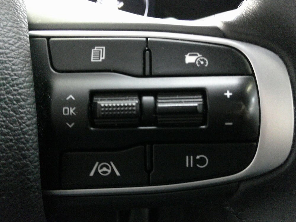 Kia Sportage usata a Treviso (16)