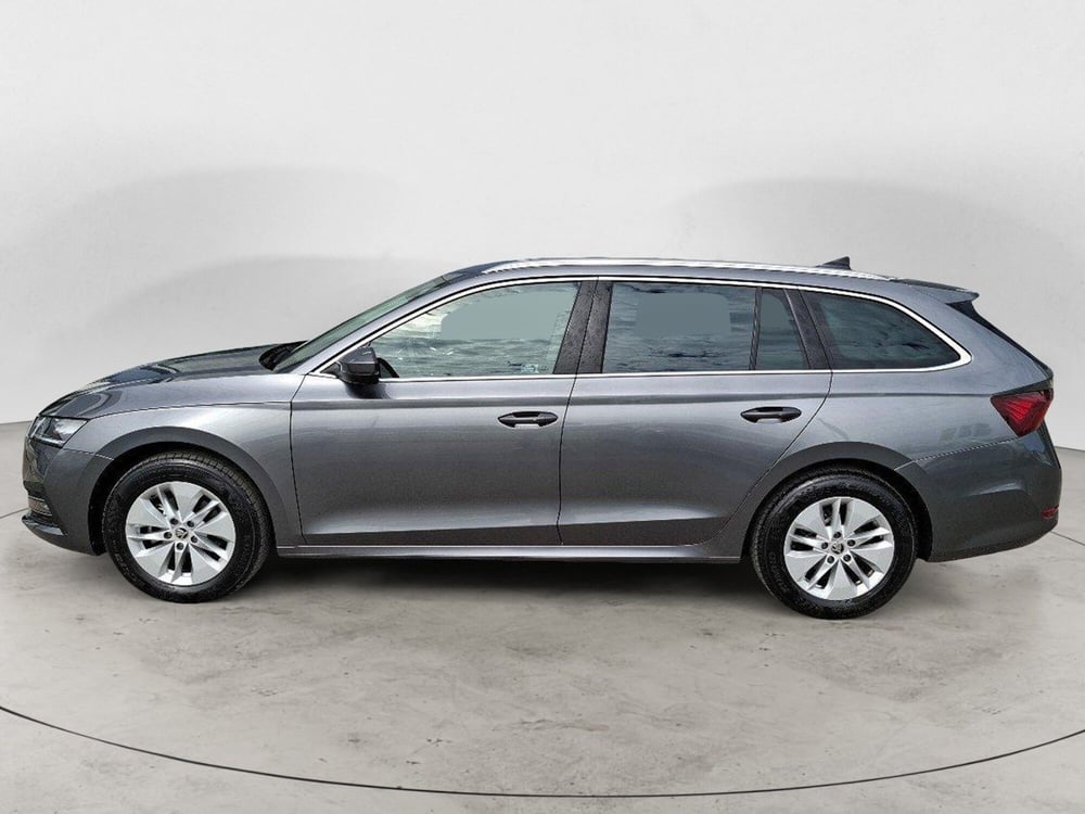 Skoda Octavia Station Wagon usata a Ancona (2)