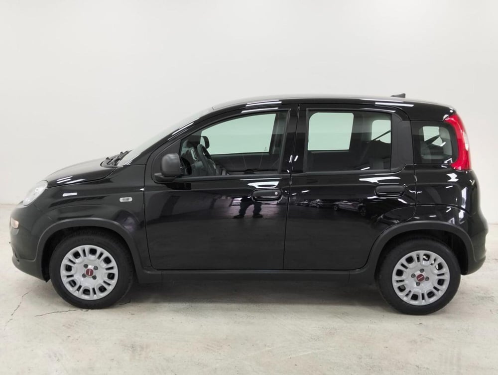 Fiat Panda Cross usata a Como (8)