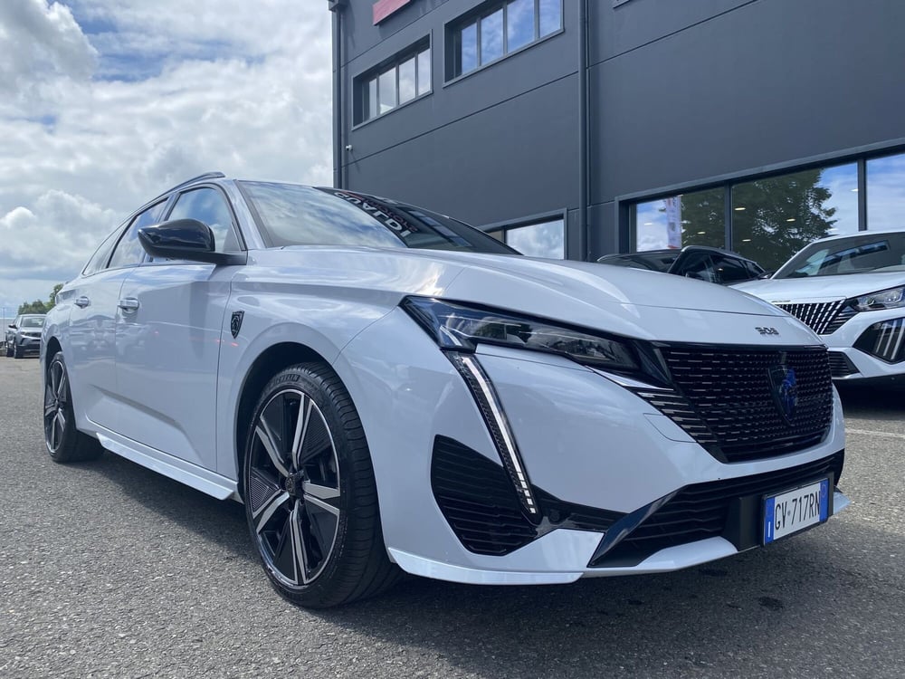 Peugeot 308 SW usata a Modena (19)