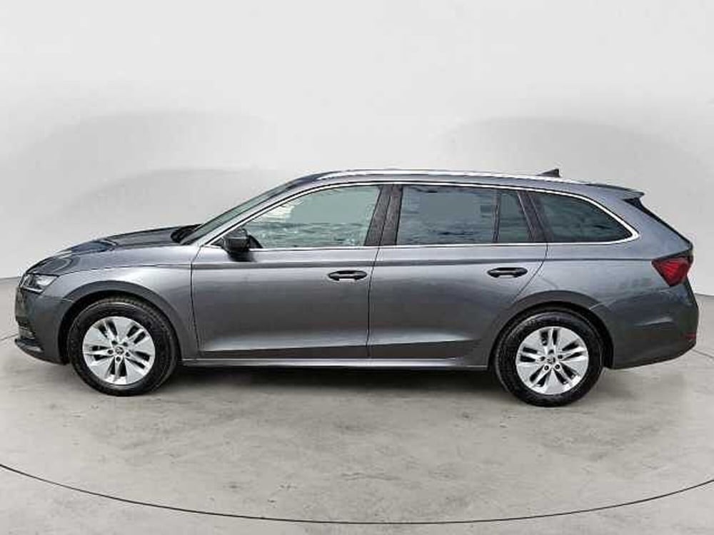 Skoda Octavia Station Wagon usata a Ancona (2)