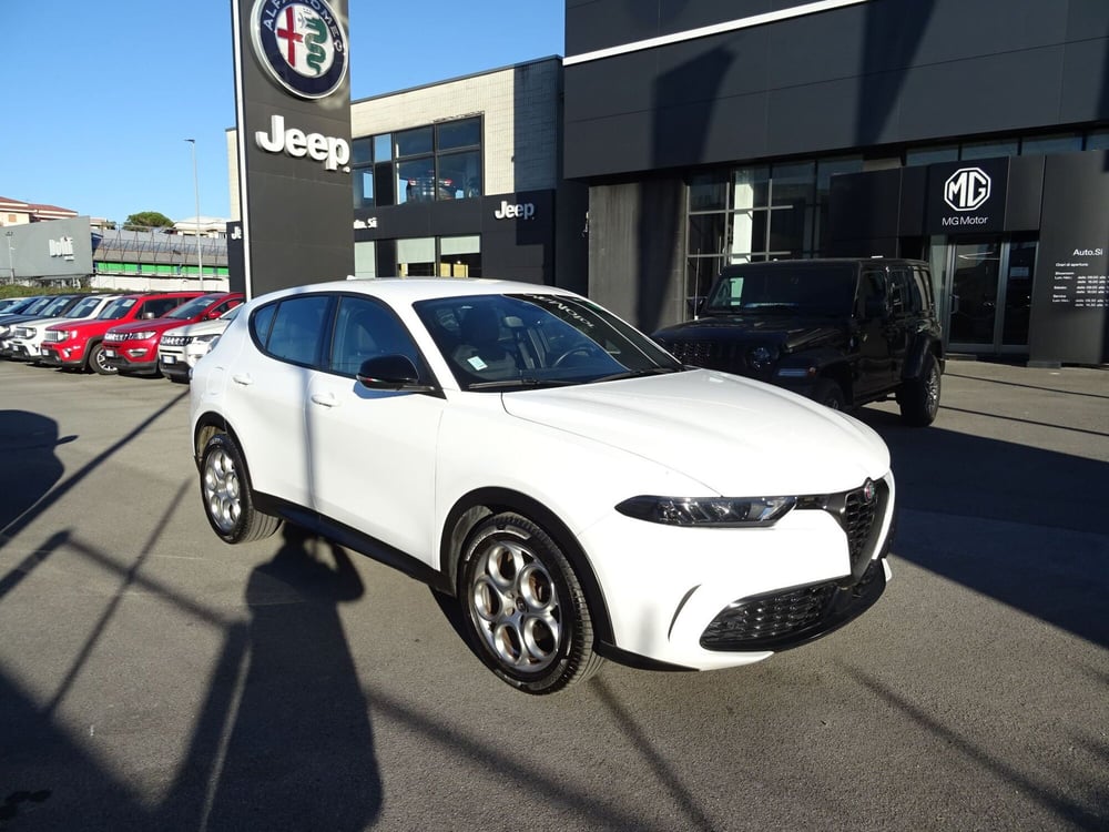 Alfa Romeo Tonale usata a Lucca (7)