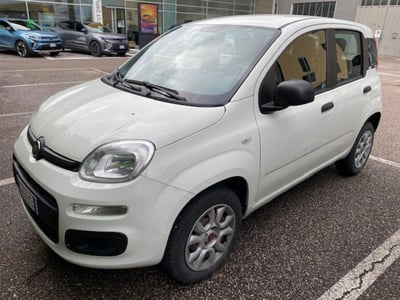 Fiat Panda 0.9 TwinAir Turbo Natural Power Easy del 2019 usata a Dolce&#039;
