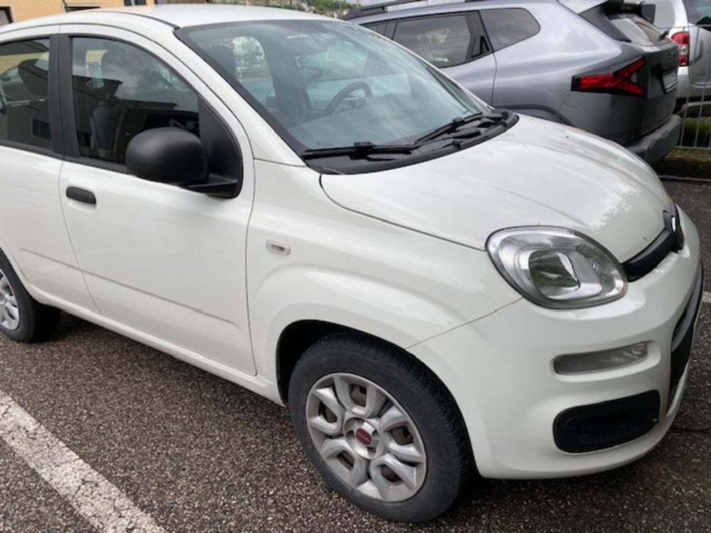 Fiat Panda usata a Verona (2)