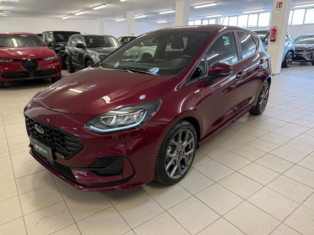 Ford Fiesta usata a Arezzo (2)