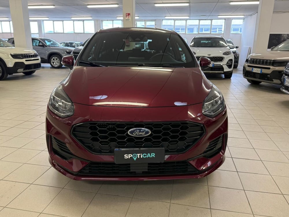 Ford Fiesta usata a Arezzo (7)