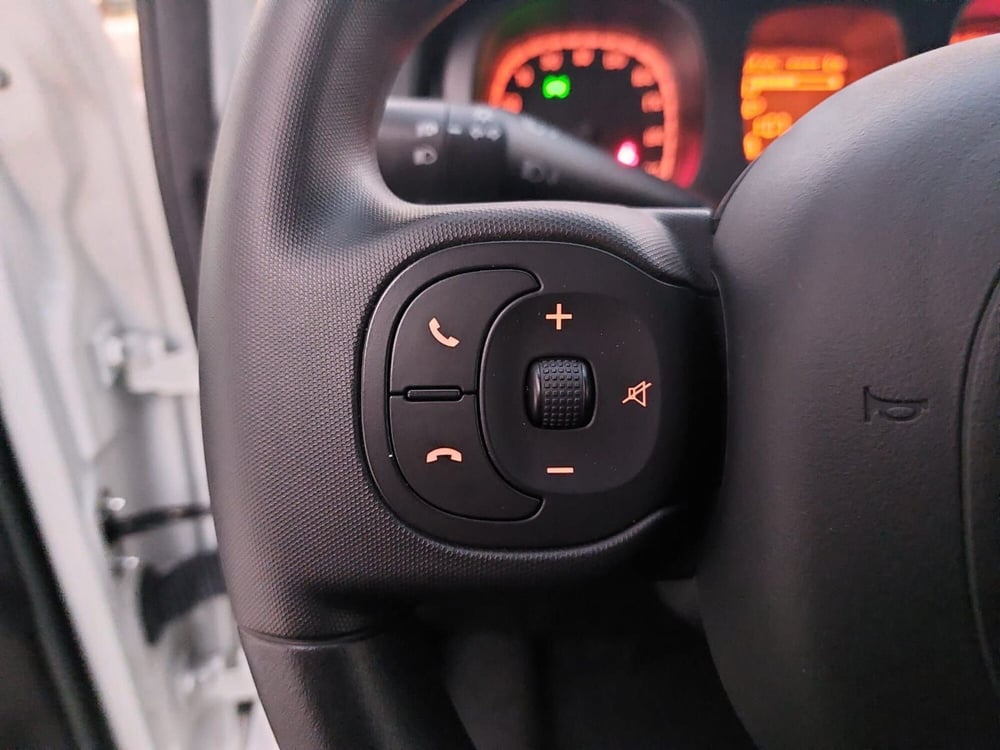 Fiat Panda Cross usata a Pavia (11)
