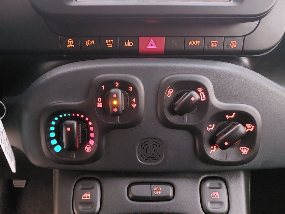Fiat Panda Cross usata a Pavia (9)