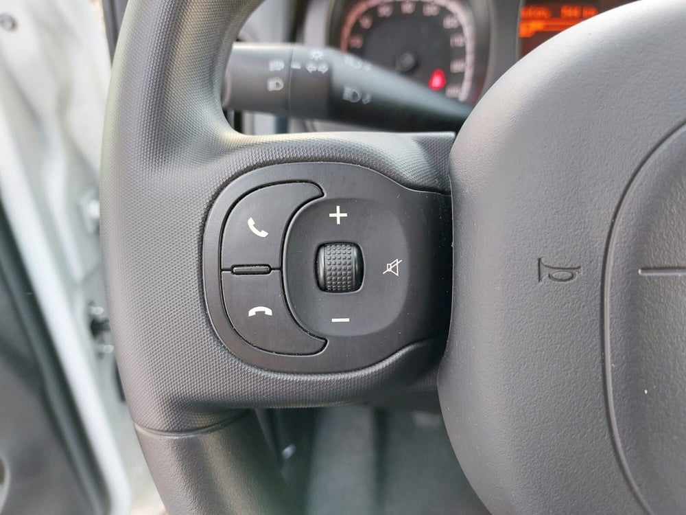 Fiat Panda Cross usata a Pavia (11)