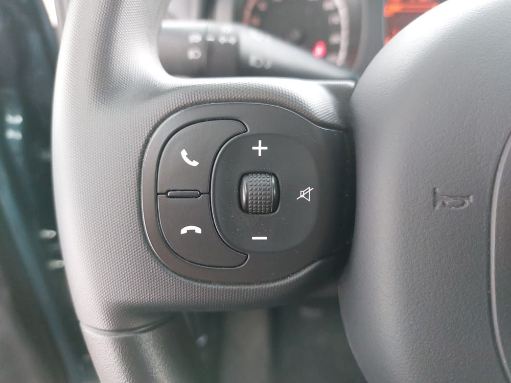 Fiat Panda Cross usata a Pavia (11)