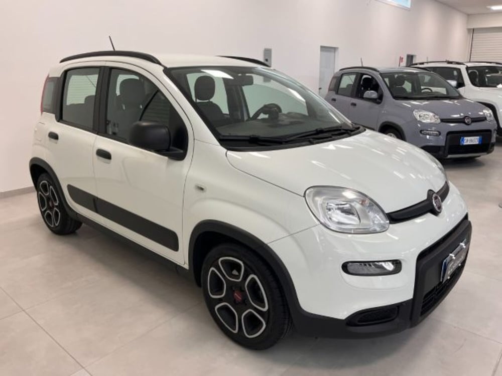 Fiat Panda usata a Oristano (6)