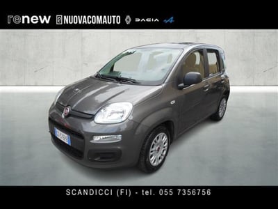 Fiat Panda 1.0 firefly hybrid s&amp;s 70cv 5p.ti del 2021 usata a Sesto Fiorentino