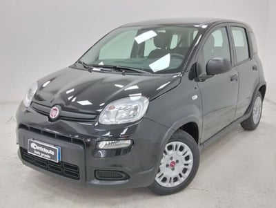 Fiat Panda 1.0 firefly hybrid s&amp;s 70cv 5p.ti del 2024 usata a Lurate Caccivio