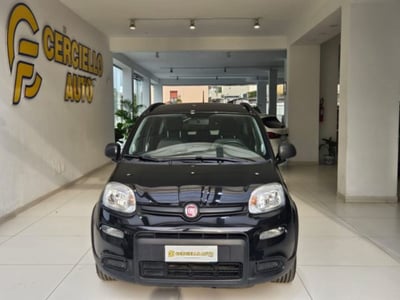Fiat Panda 1.0 firefly hybrid s&amp;s 70cv 5p.ti del 2022 usata a Somma Vesuviana