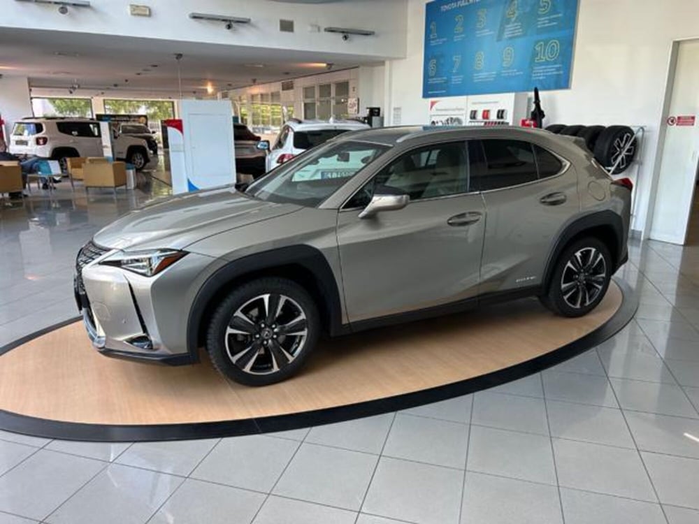 Lexus UX usata a Alessandria (2)