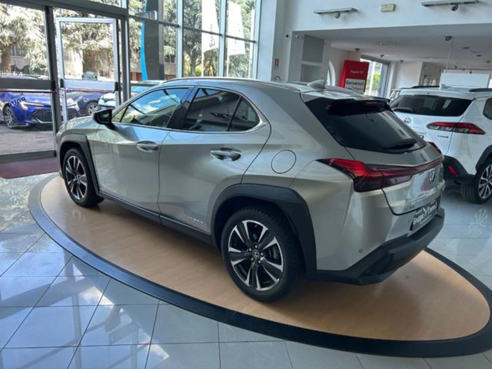 Lexus UX usata a Alessandria (4)