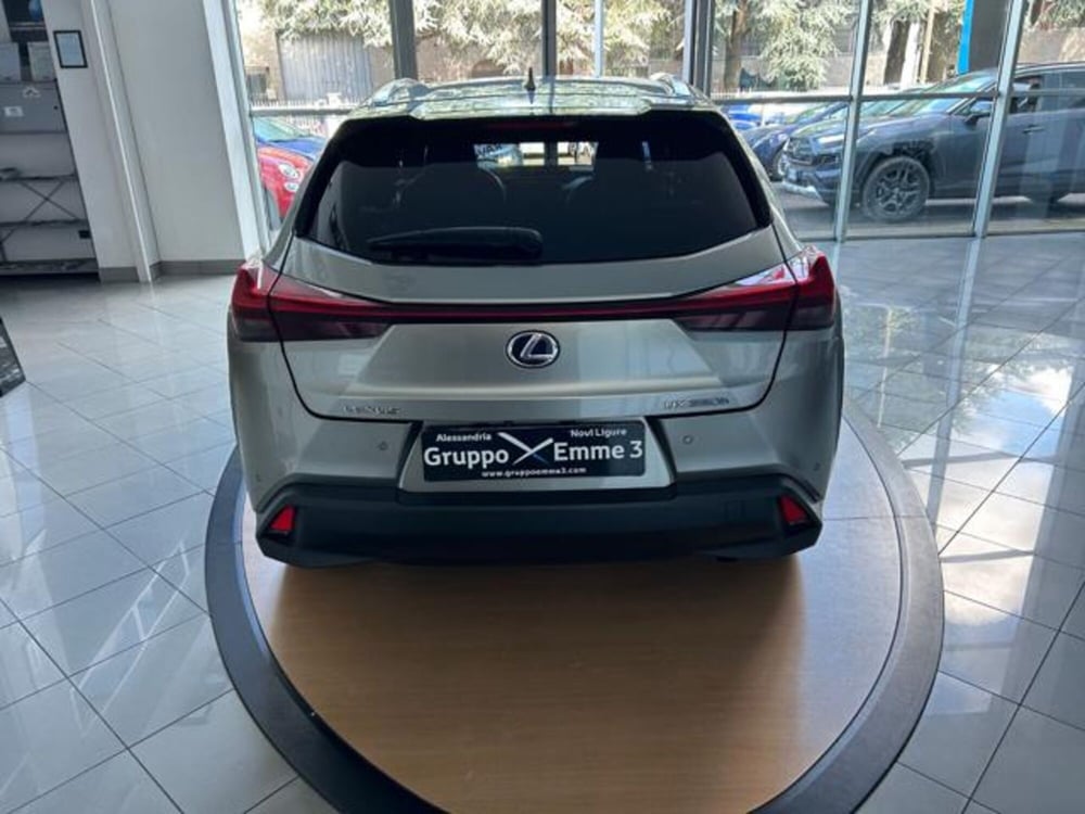 Lexus UX usata a Alessandria (6)