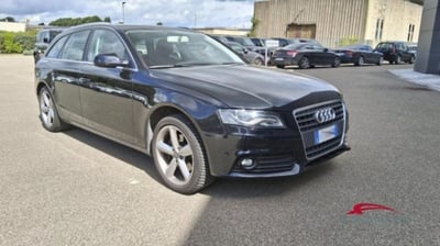Audi A4 Avant 2.7 V6 TDI F.AP. mult. Advanced del 2009 usata a Corciano