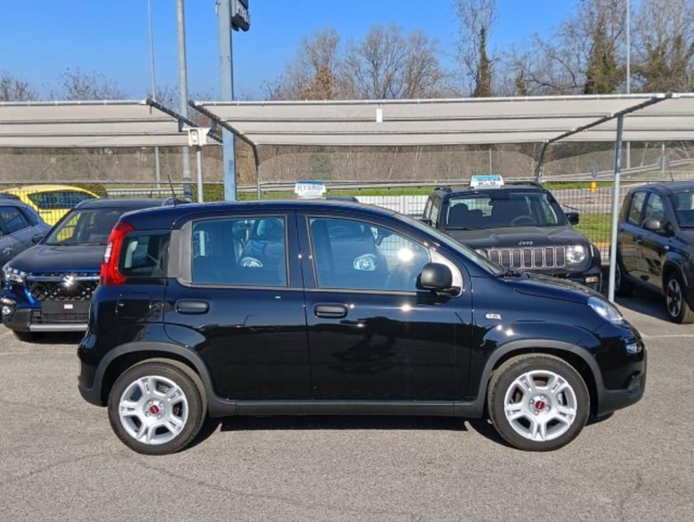 Fiat Panda nuova a Brescia (4)