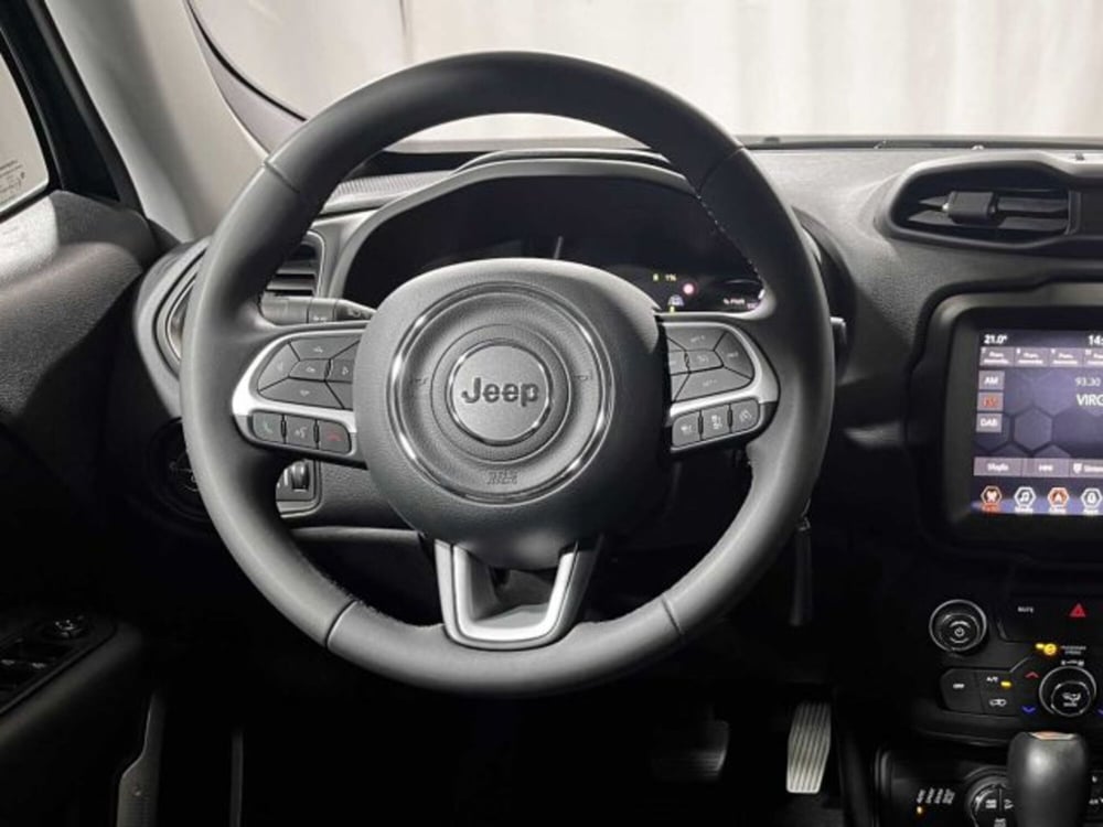 Jeep Renegade usata a Sondrio (13)