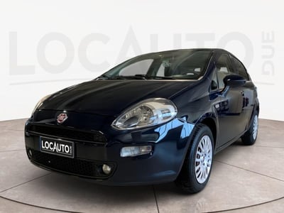 Fiat Punto 1.2 8V 5 porte Young del 2016 usata a Torino