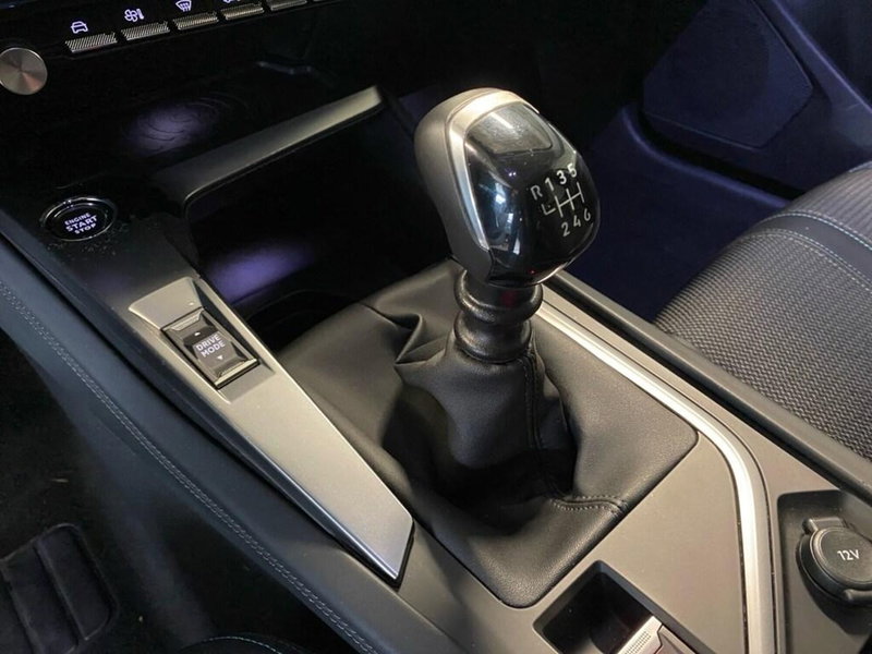 Peugeot 308 SW usata a Torino (11)